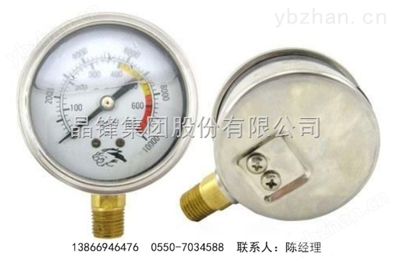 YMN系列隔膜式耐震式压力表