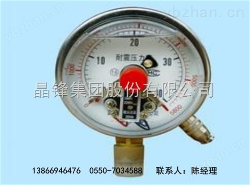 YP-100 系列防腐膜片式压力表