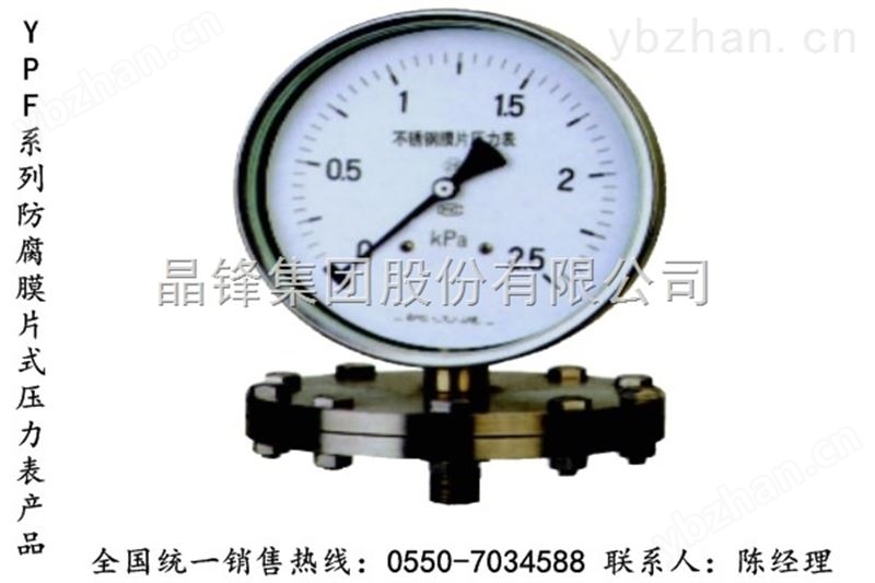 YP-100 系列防腐膜片式压力表