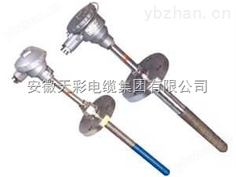 耐磨阻漏热电偶