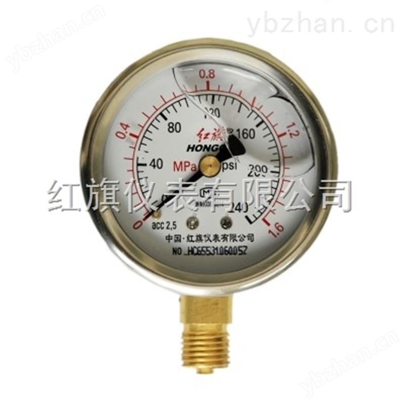 YTN-60耐震压力表