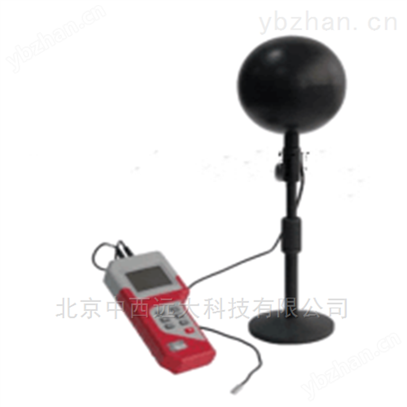 黑球温度记录仪 型号:MW88-JTR04