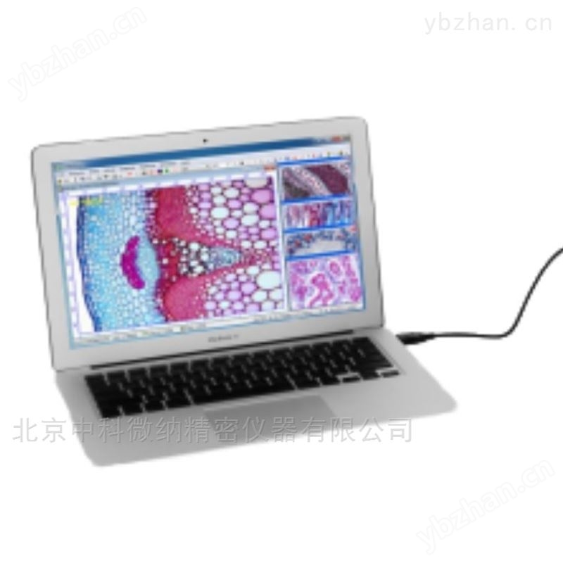 粉末智能化颗粒图像扫描仪