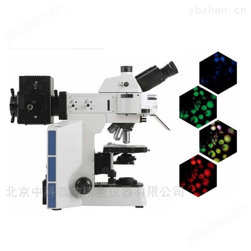 粉末水泥颗粒图像分析仪