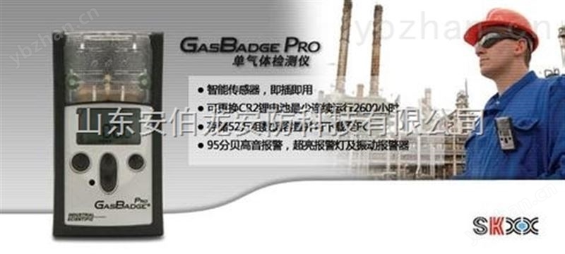 北京英思科氨气检测仪GB60-NH3-氨气分析仪 便携式氨气检测仪