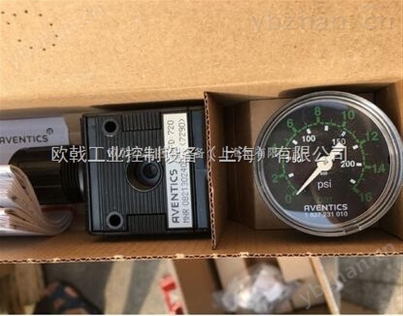 HBM 1-AE101资料