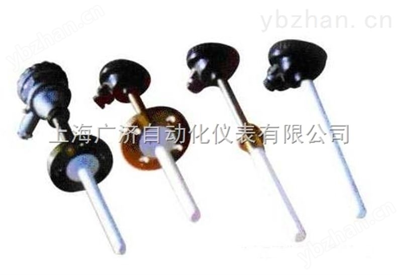防腐热电偶（阻）