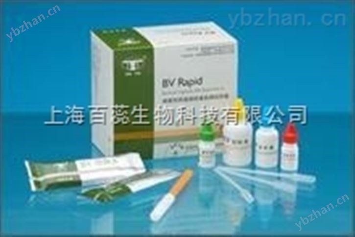 小鼠中性粒细胞弹性蛋白酶（NE）ELISA试剂盒全国质保无忧订购