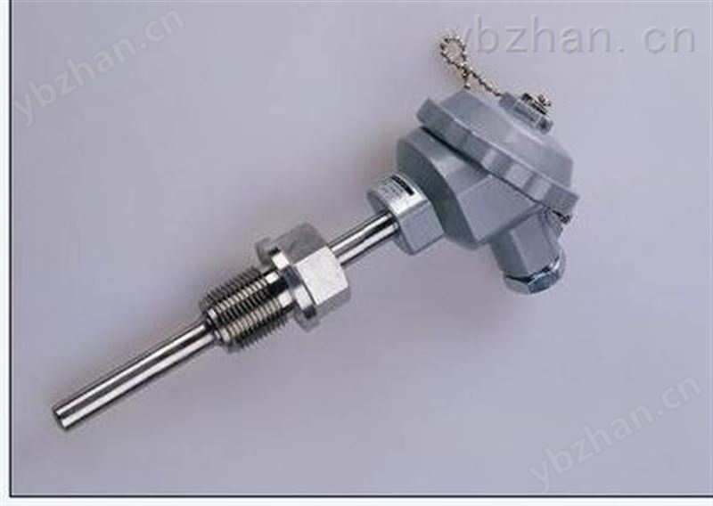 智能型温度变送器