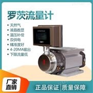 液晶数显气体经典AV三级在线观看 罗茨腰轮流量计