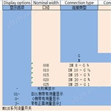 honsberg MR1K系列流量传感器工业控制
