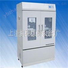 RW-1102柜式双层恒温培养振荡器（双门）-多功能振荡器