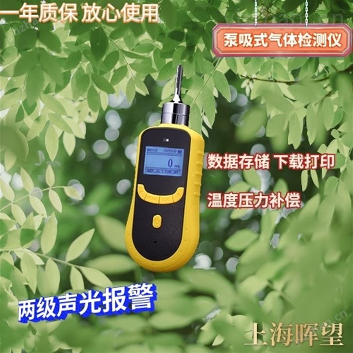泵吸式氟气检测仪/巡检仪