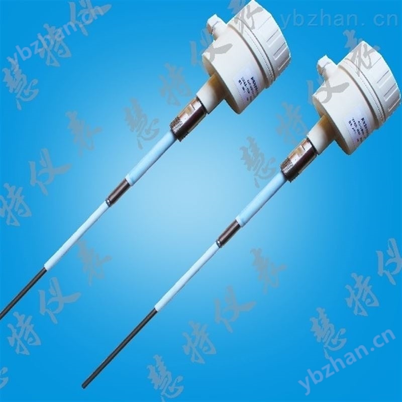 XR97-L2300射频导纳物位计