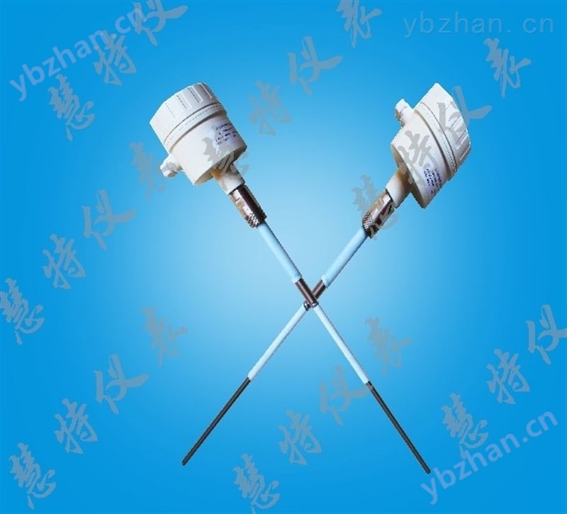 XR97-L2300射频导纳物位计
