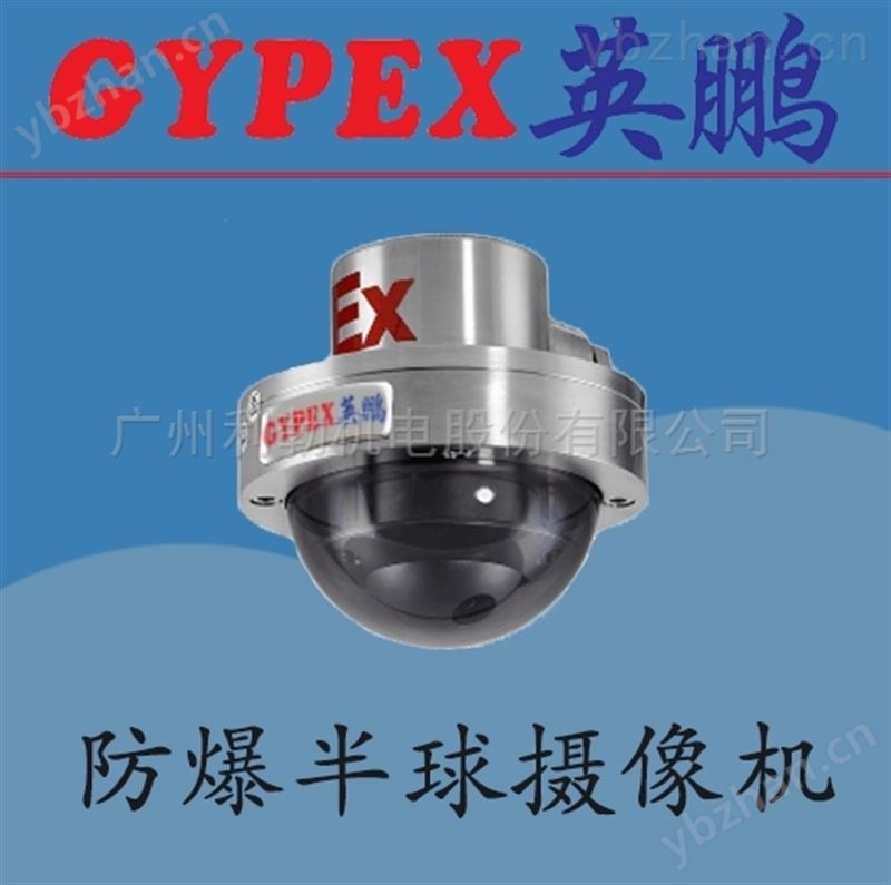 英鹏防爆监控器 来宾市防爆摄像机-料位监控器