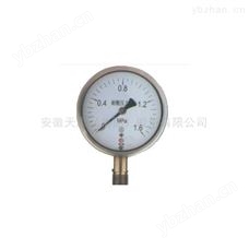 TS-100耐酸系列压力表-弹簧管压力表