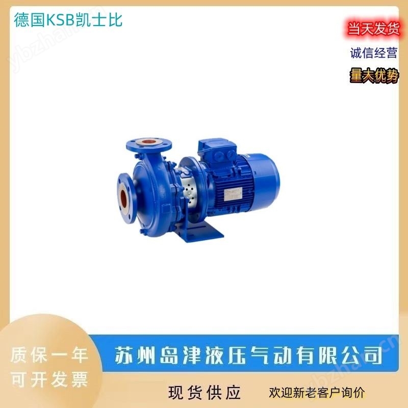 排污泵 德国KSB凯斯比蜗壳泵