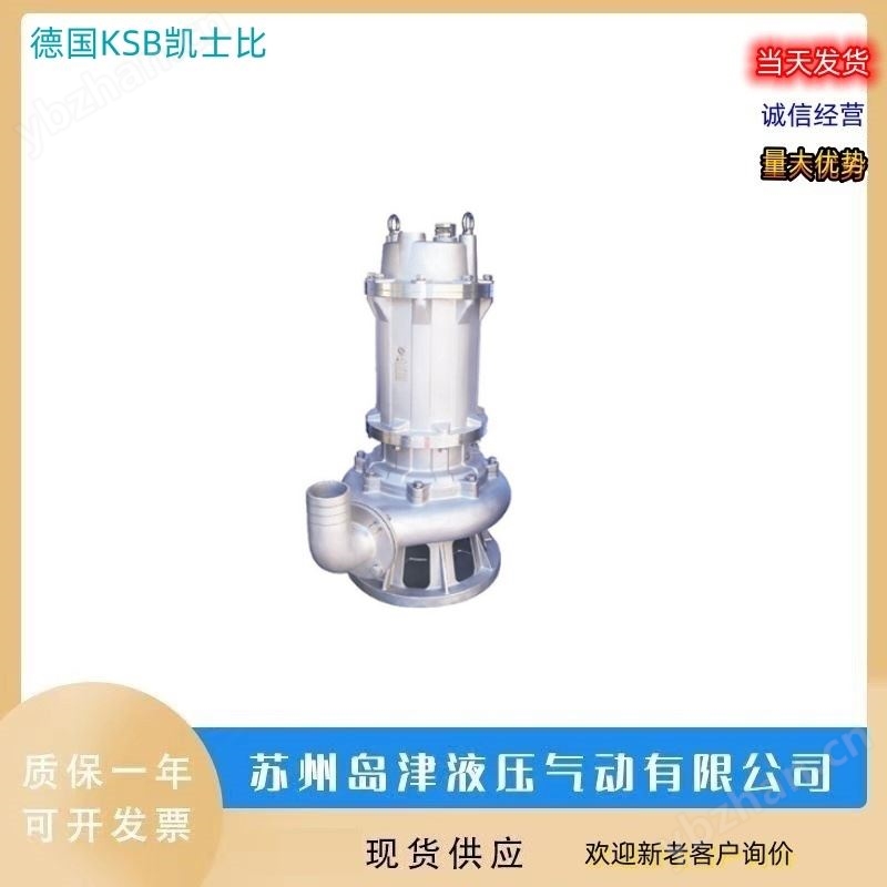 排污泵 德国KSB凯斯比蜗壳泵