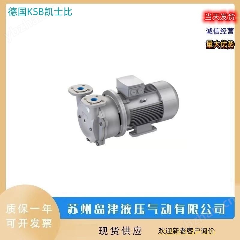 污水泵德国KSB凯士比卧式离心热油泵