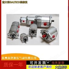 2SP G4 4 280 300 320 4000意大利GALTECH高泰克齿轮泵,单联泵,