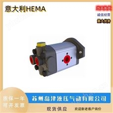 415-1550-11300/1双联齿轮泵 意大利HEMA河马齿轮泵