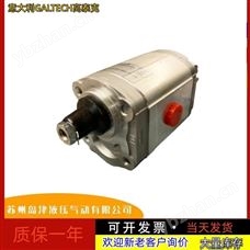 2SP A4 4 250 270 290 4000意大利GALTECH高泰克高压齿轮泵