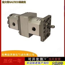 1SP A0.9 0.89 240 260 290高压齿轮泵意大利GALTECH高泰克齿轮泵