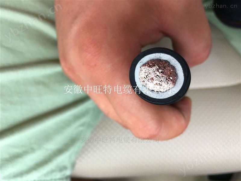 ZR-IA-KX 1*2*2.5本安防爆热电偶用补偿导线