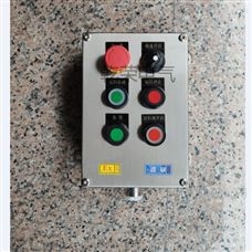 BXM变频电机防爆操作箱
