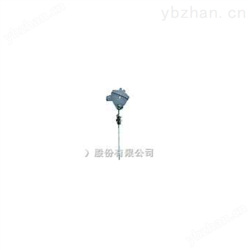 工业型铠装热电阻
