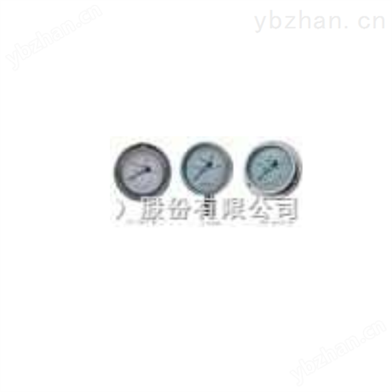 不锈钢型在线压力表