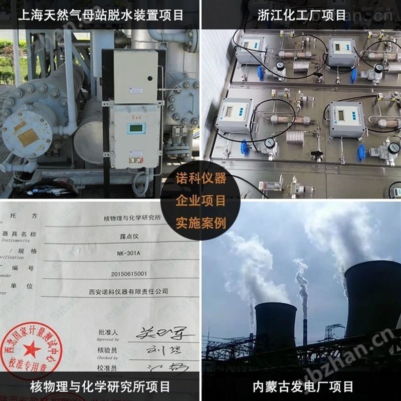 便携式双组份气体分析仪 多组份气体分析仪 气体检测仪 诺科仪器NK-401H
