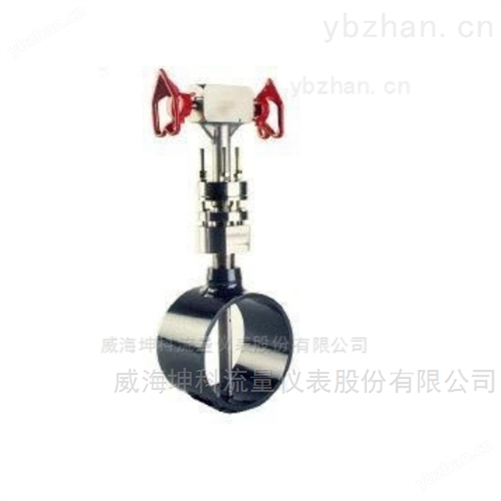 威力巴流量计选型