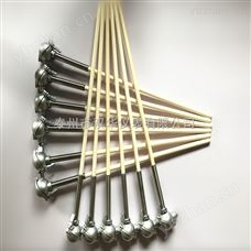 WZP-330防腐炉顶用插座式热电阻
