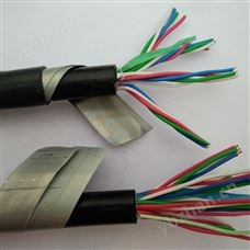PZYA22铁路信号电缆PZYA22铠装音频线