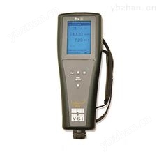 PRO 20YSI Pro20溶解氧测量仪 水流量传感器