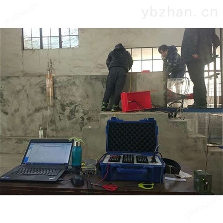 水电站工作闸门流激振荡模型监测系统