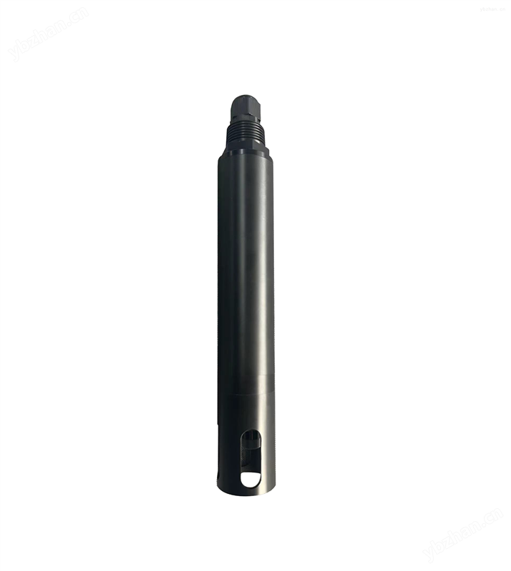 氯离子传感器