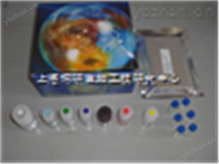 人骨成型蛋白受体Ⅱ（BMPR-Ⅱ）ELISA试剂盒