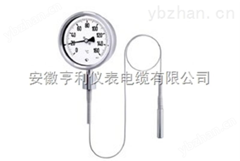 溧水数显温度计WSSE-501温度计种类