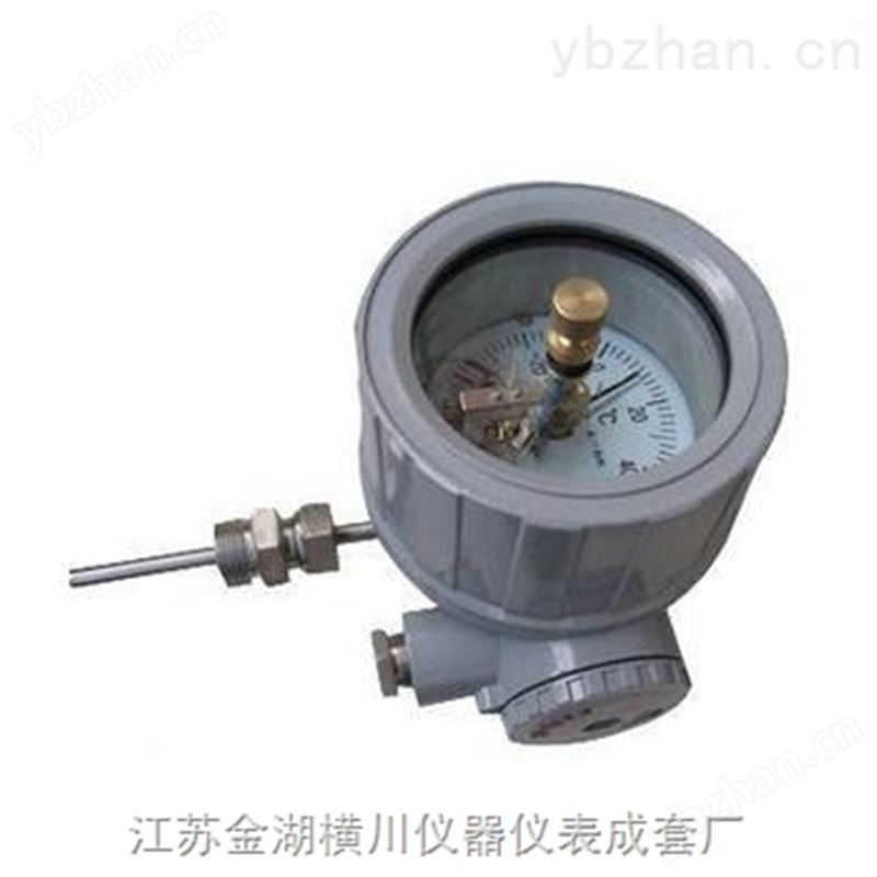 防爆压力表,防爆压力表价格