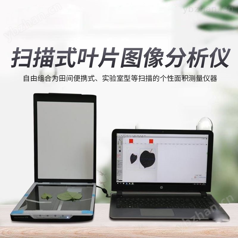 便携扫描式叶片面积测量仪 图像分析仪