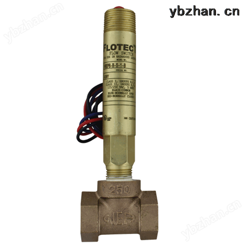 V6EPB-B-S-1-B-AT防爆流量开关Flotect