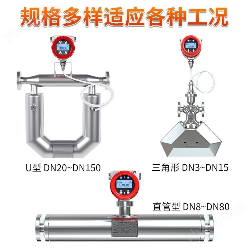 科里奥利质量流量计_直管型