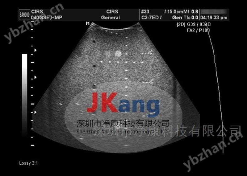 CIRS 040GSE多功能多组织超声体模