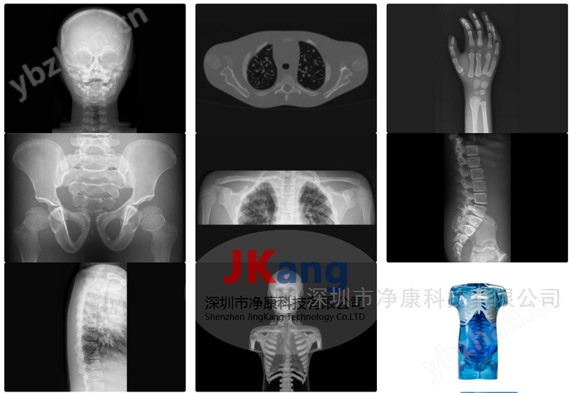 CIRS 715儿童仿真模体,715儿科拟人训练模型