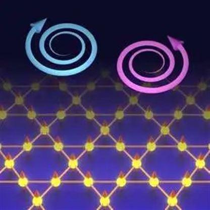 铁磁外尔半金属中拉曼活性声子的手性观测
