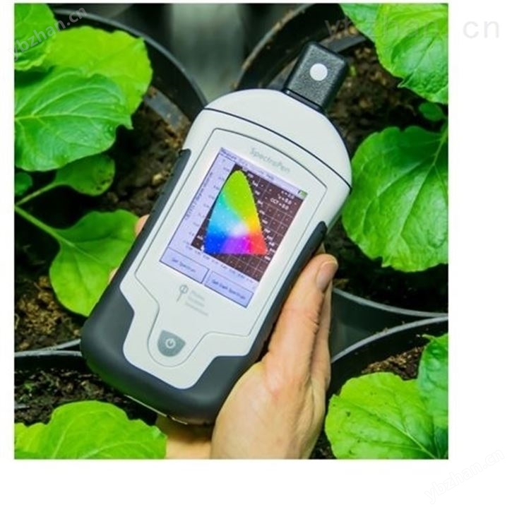 水体藻类植物叶绿素分析