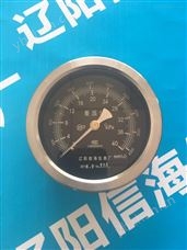 CYJ-100差压计 差压压力表